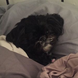 Meet your Posher, Monique